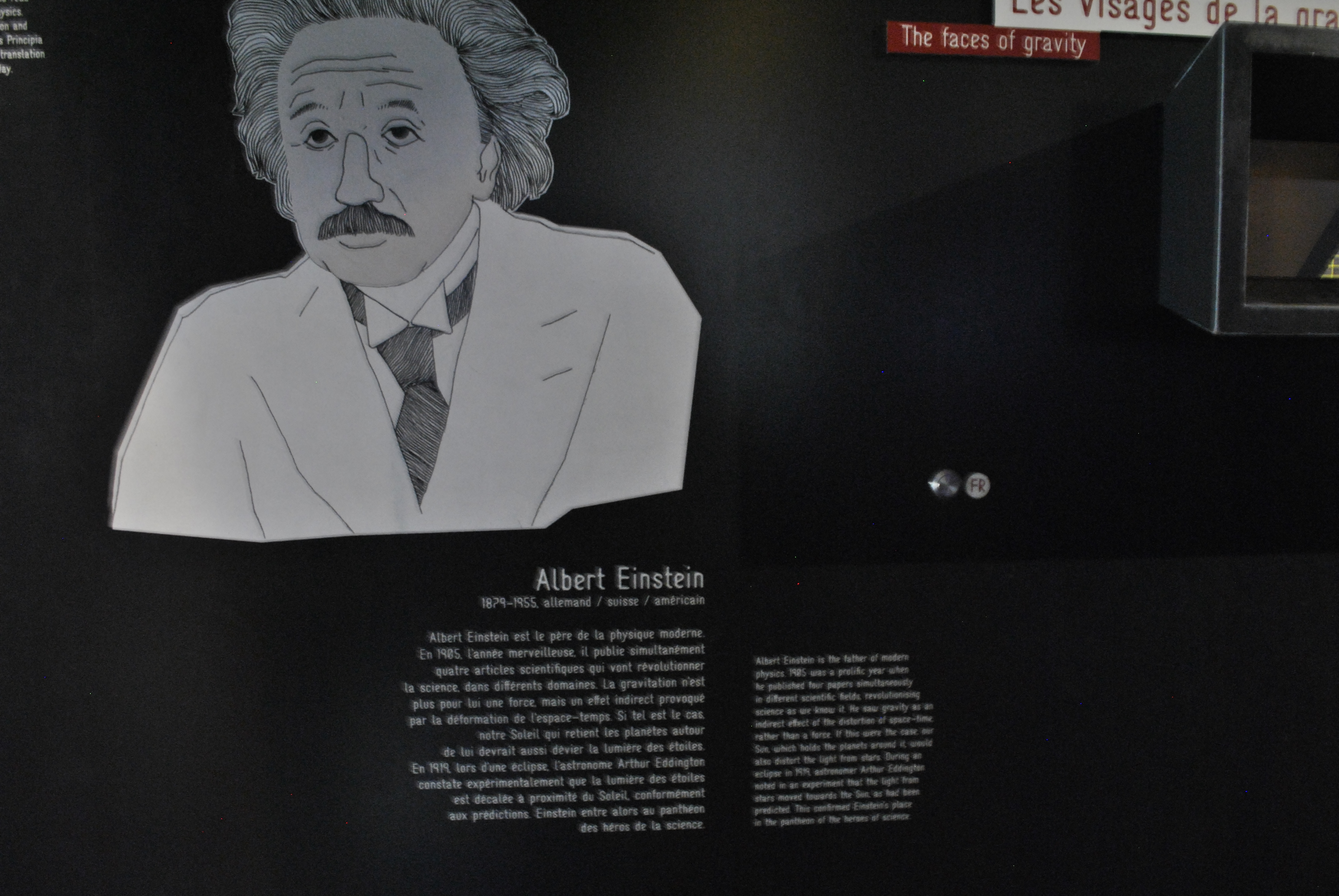 Le Physicien Albert Einstein